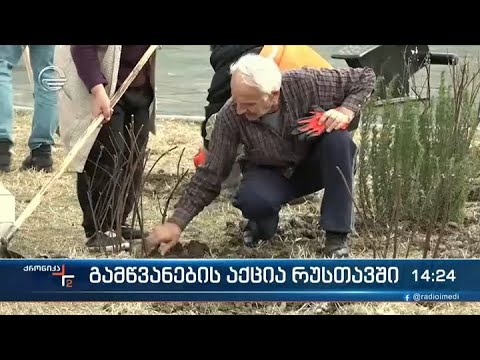 გამწვანების აქცია რუსთავში